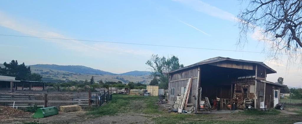 14200 Sycamore Avenue Property Photo 19
