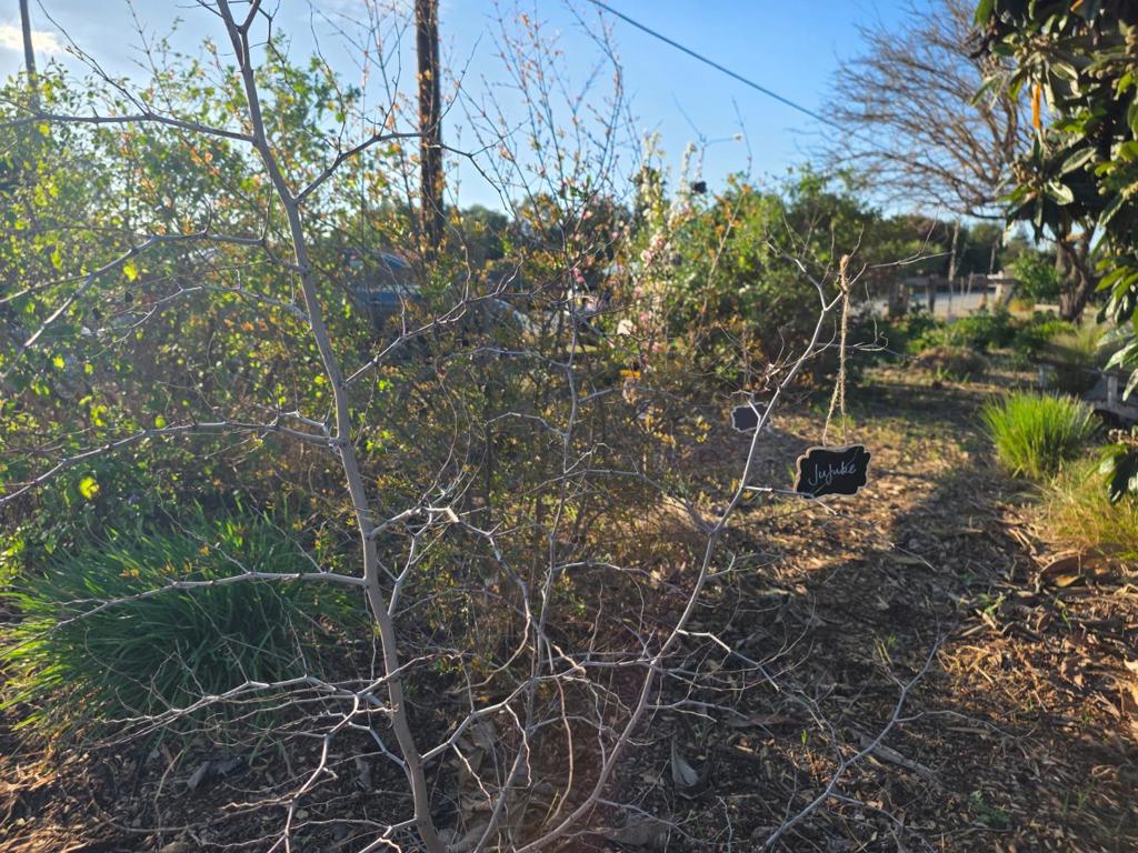 14200 Sycamore Avenue Property Photo 39