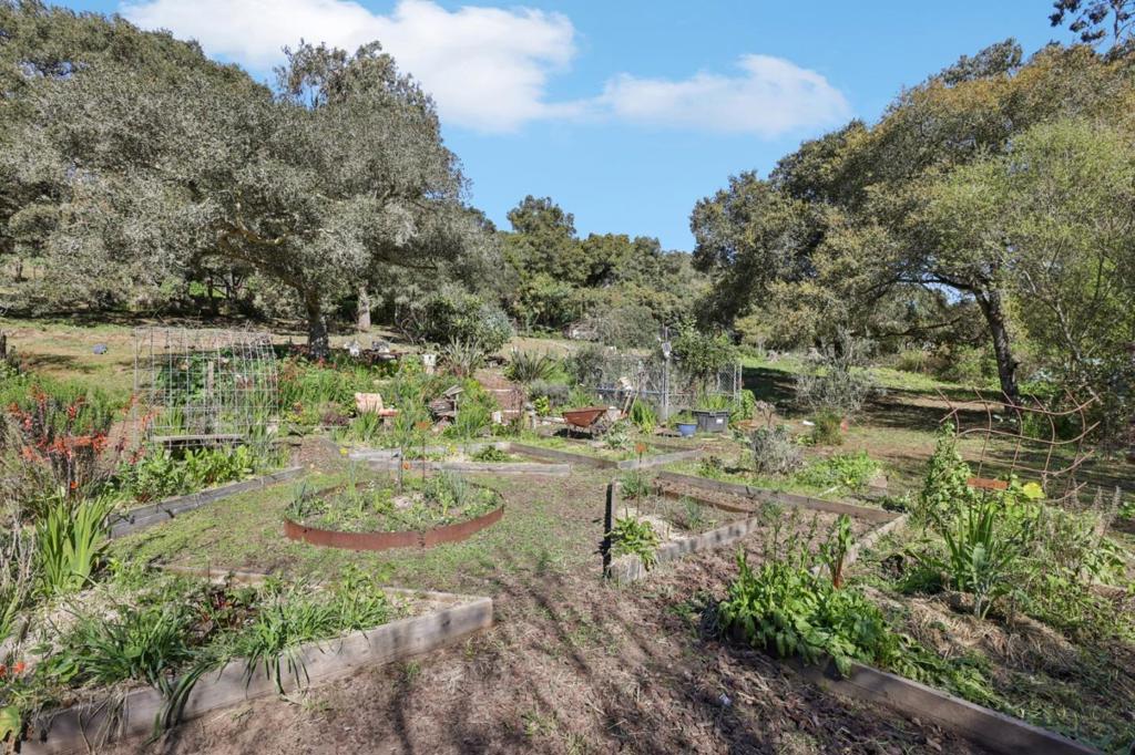 122 Strawberry Canyon Road Property Photo 42