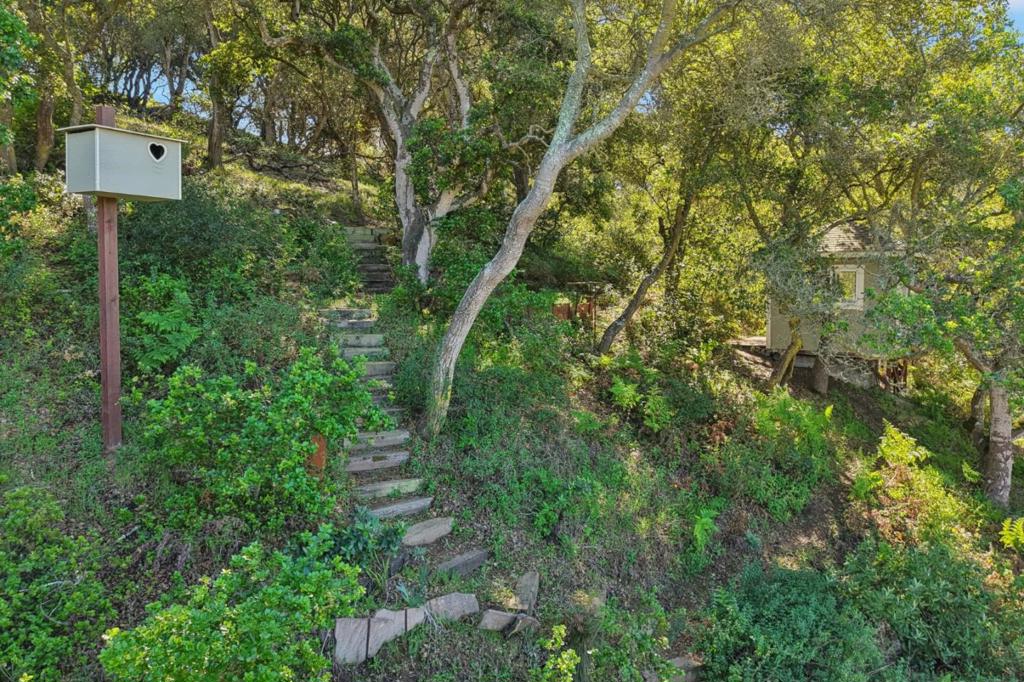 122 Strawberry Canyon Road Property Photo 54