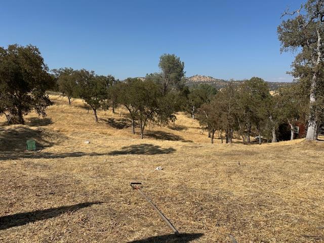 4227 Council Trail Property Photo 1