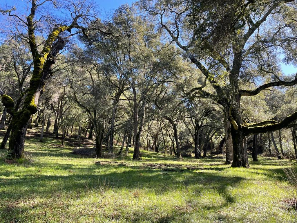 10 Garzas Trail Property Photo 1