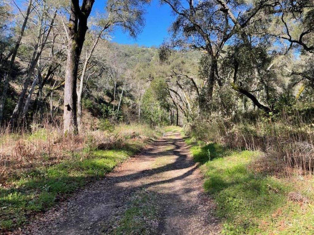 10 Garzas Trail Property Photo 2