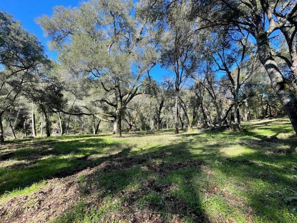 10 Garzas Trail Property Photo 5