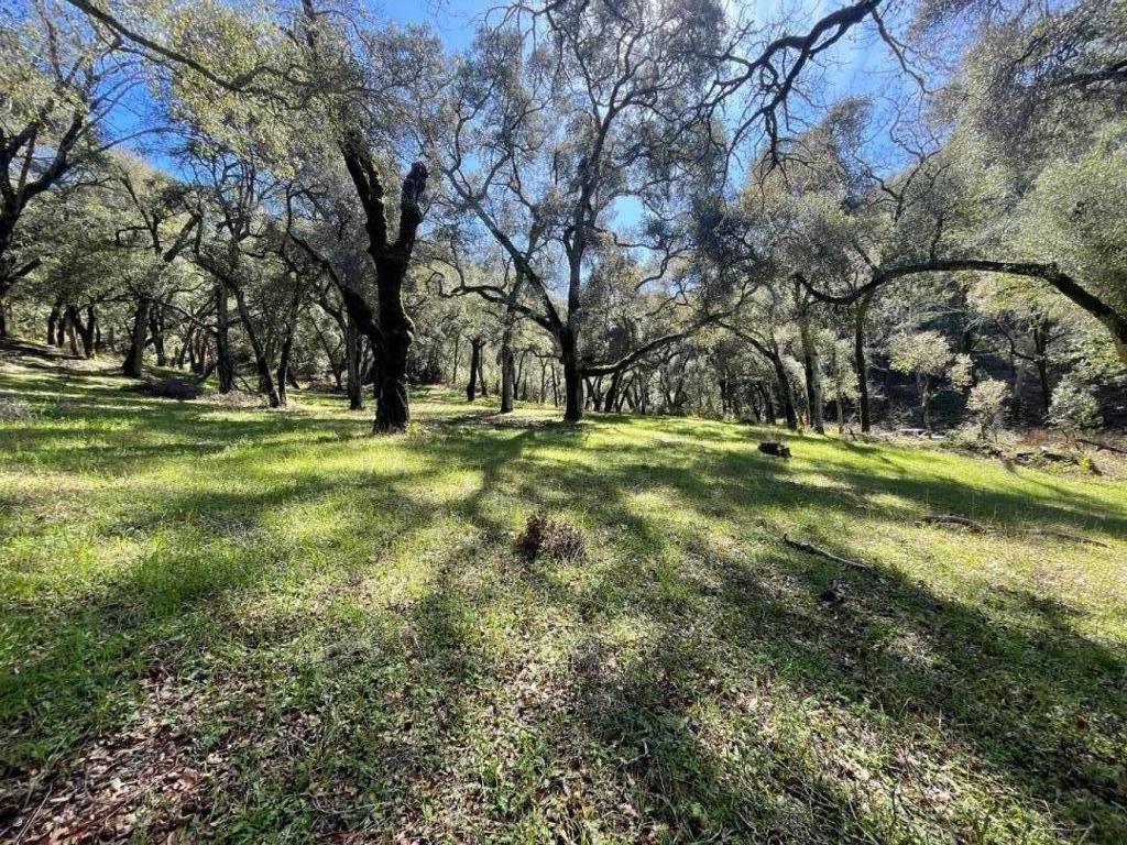 10 Garzas Trail Property Photo 6