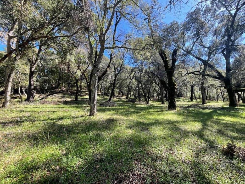 10 Garzas Trail Property Photo 8