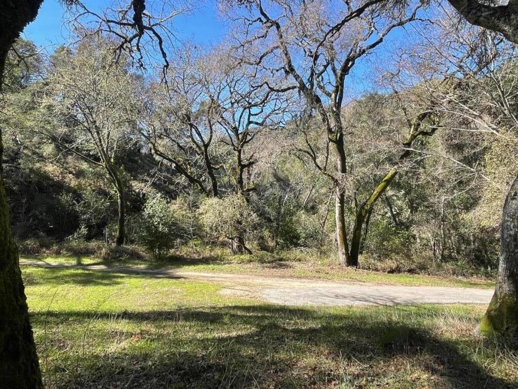 10 Garzas Trail Property Photo 9