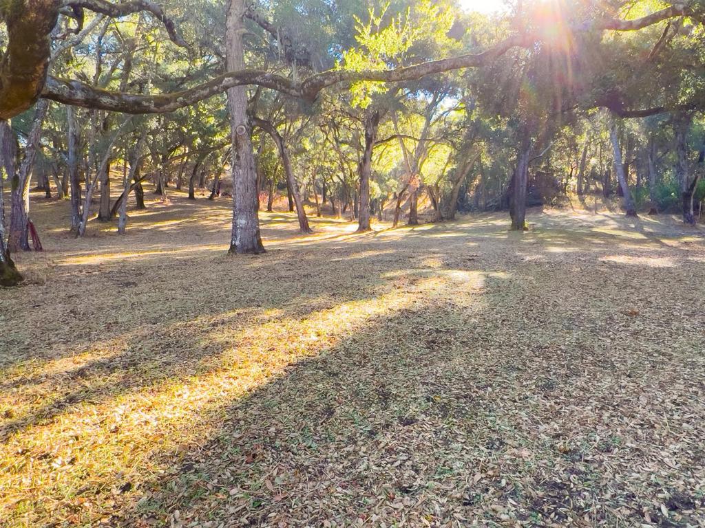 10 Garzas Trail Property Photo 10