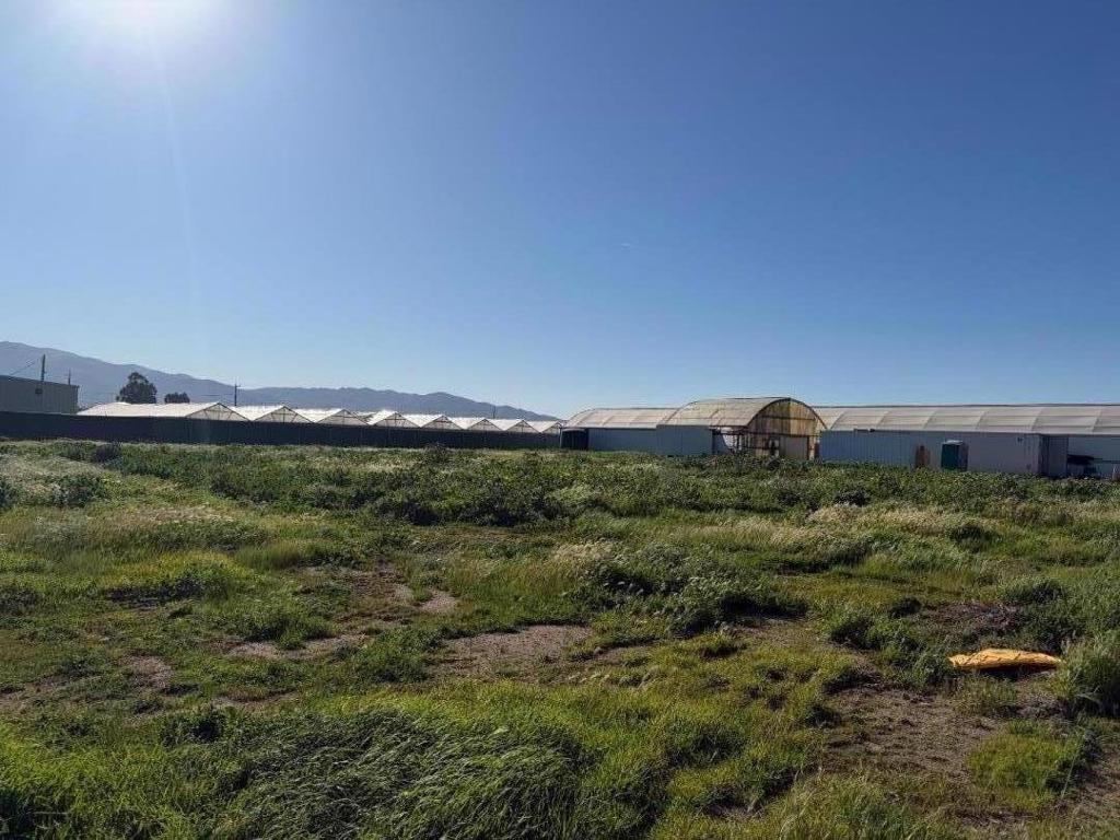 20180 Spence Road Property Photo 11