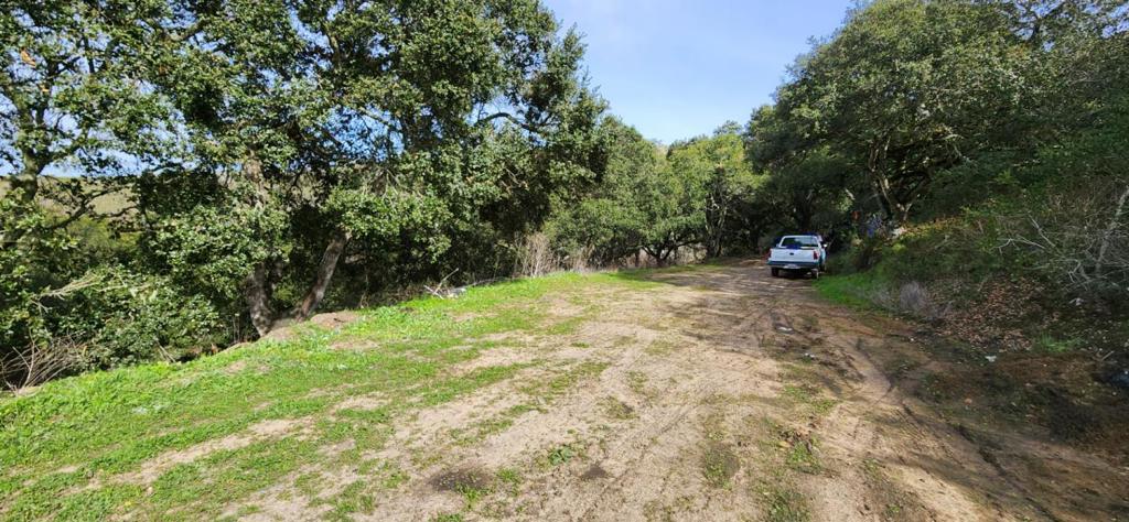 0 Salinas Road Property Photo 13