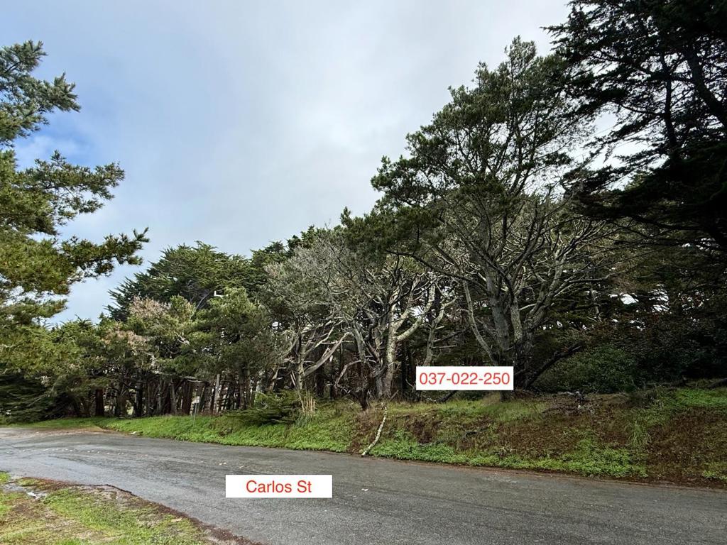 37022250 Carlos Property Photo 1