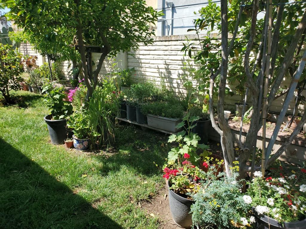 1655 Marsh Street Property Photo 24