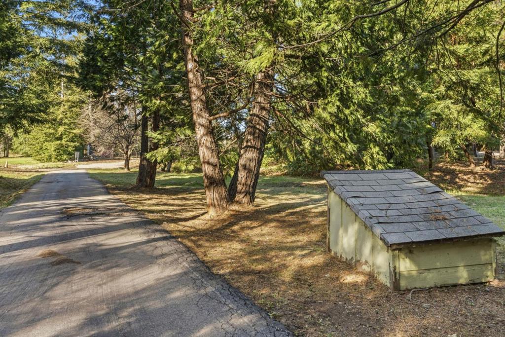 15 Braemoor Drive Property Photo 6