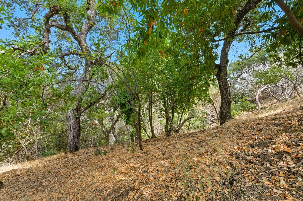 0 Lakeview Way Property Photo 12