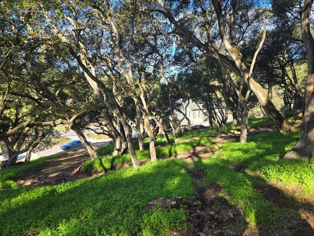 0 Paradise Road Property Photo 3