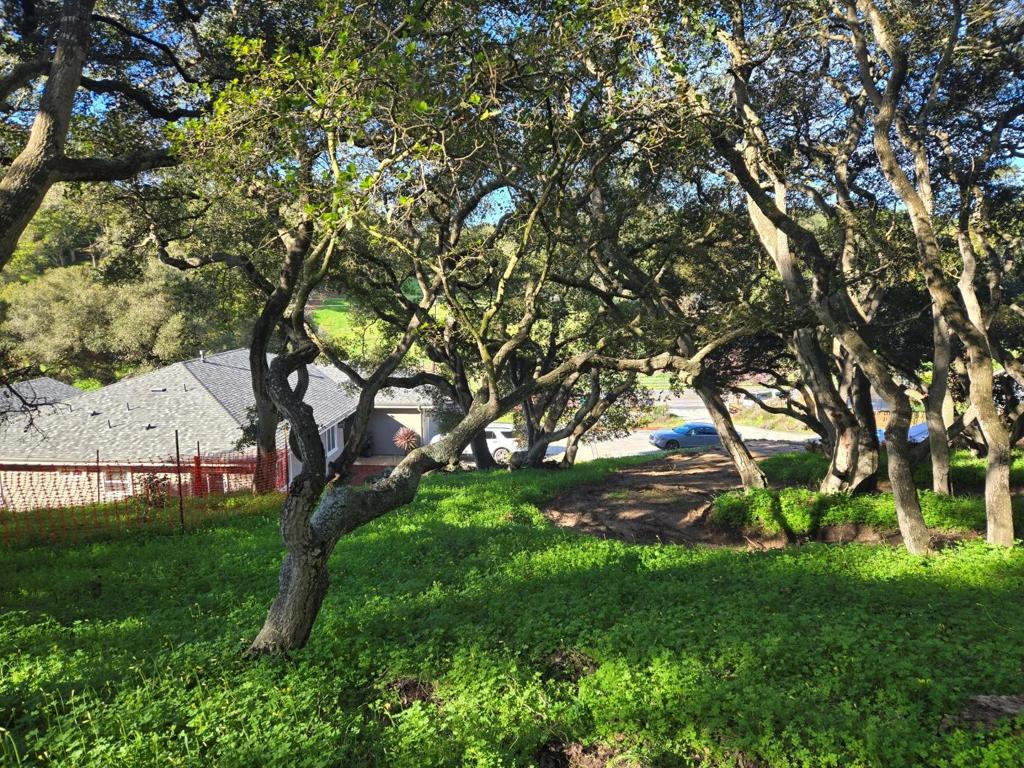 0 Paradise Road Property Photo 4