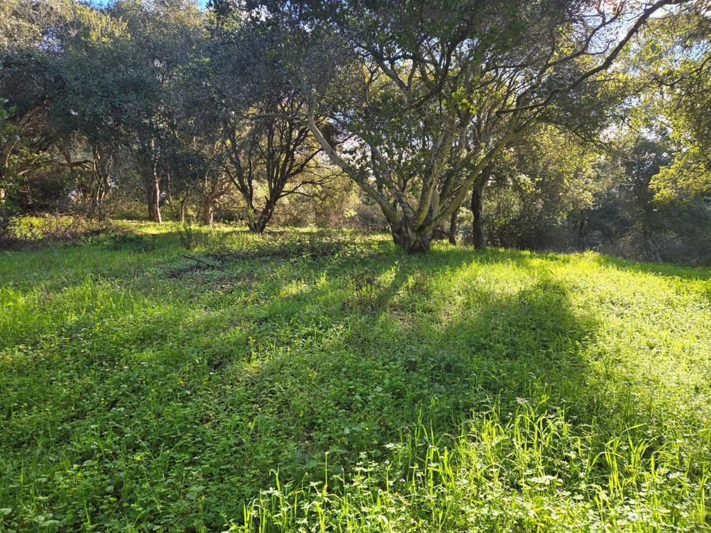 0 Paradise Road Property Photo 6