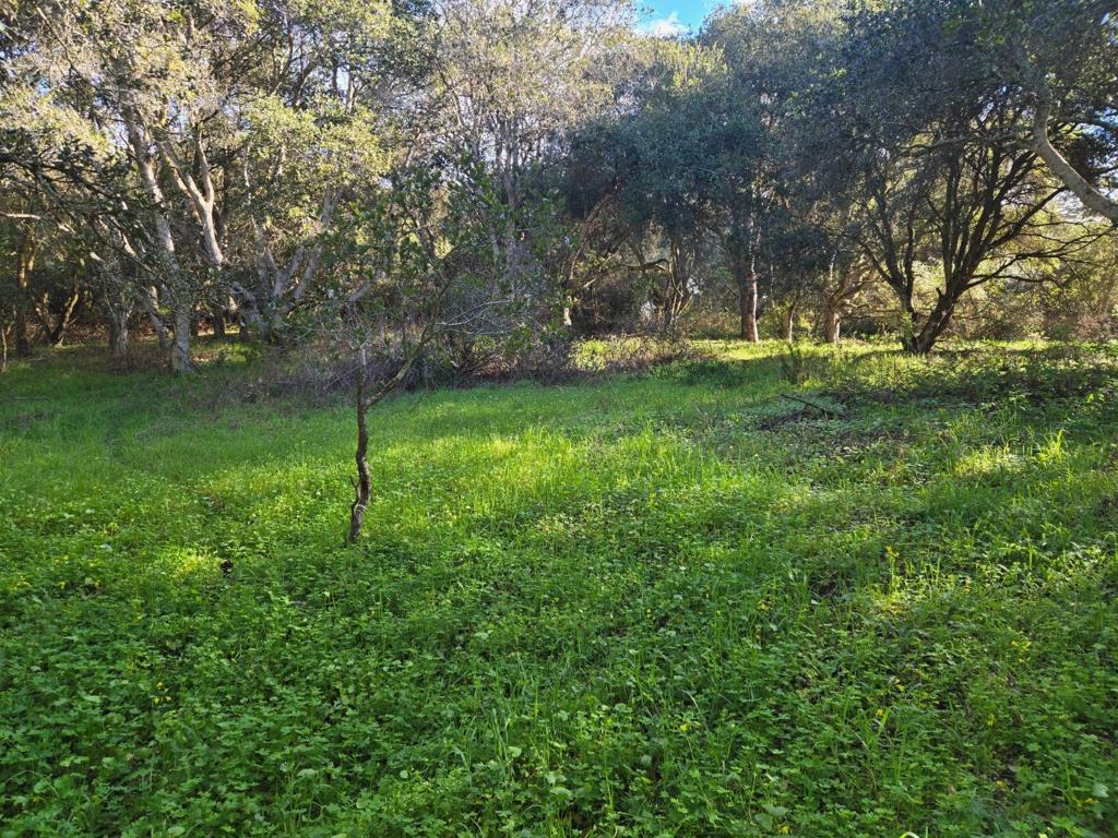 0 Paradise Road Property Photo 7