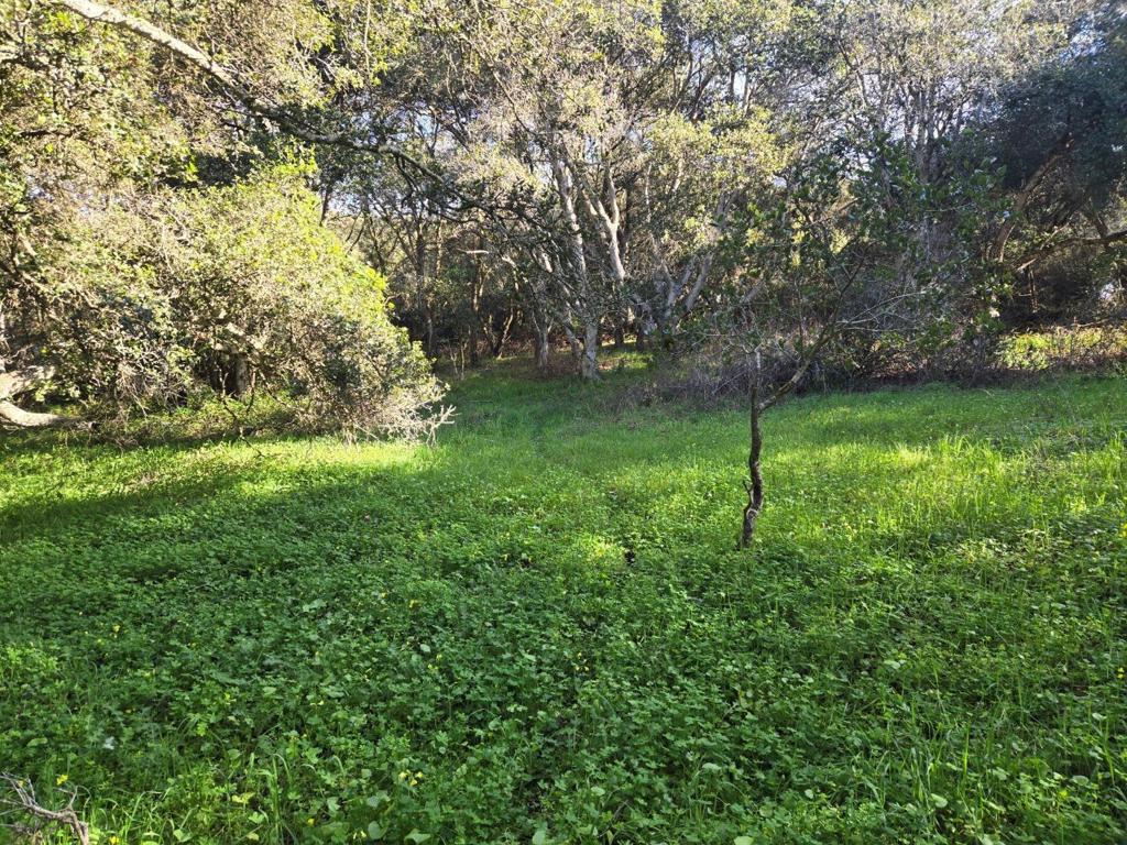 0 Paradise Road Property Photo 8
