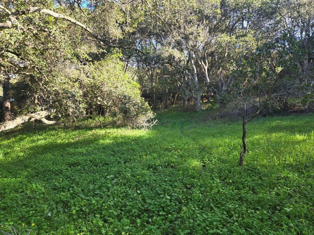 0 Paradise Road Property Photo 10