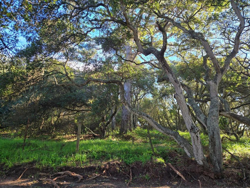 0 Paradise Road Property Photo 27