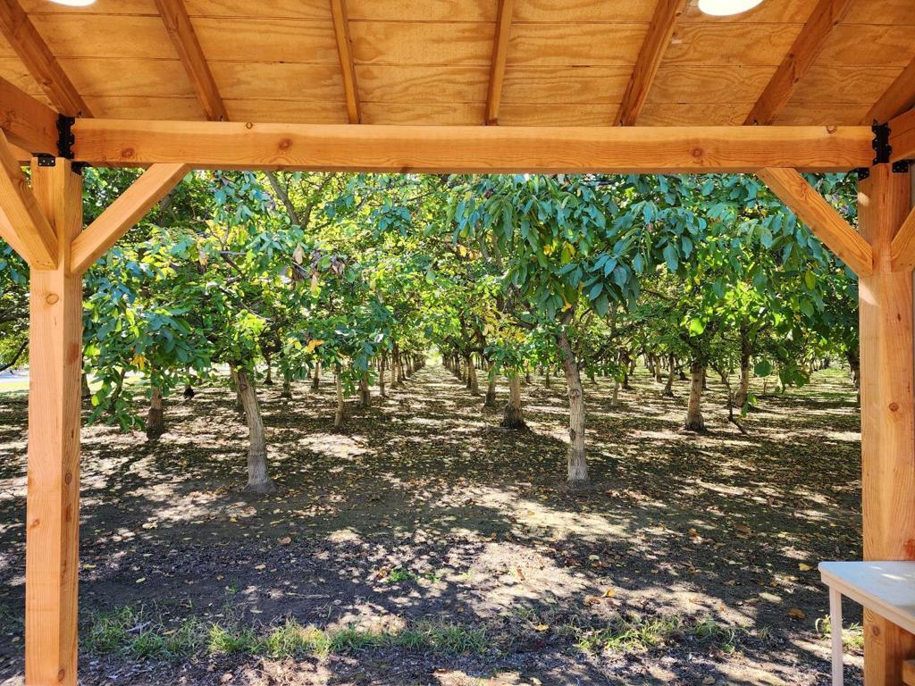 3719 N Hart Road Property Photo 41