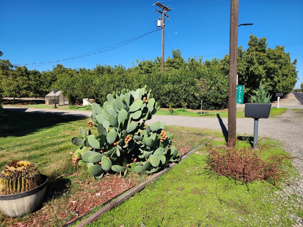 3719 N Hart Road Property Photo 44