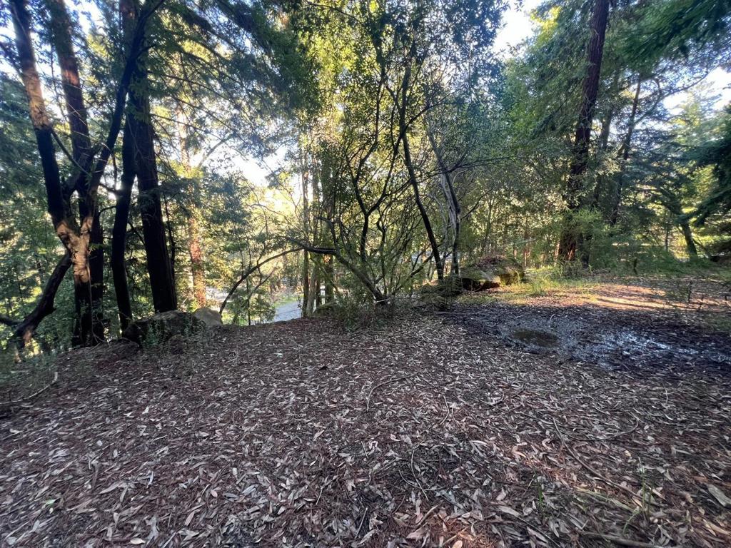 559 Patrol Road Property Photo 1