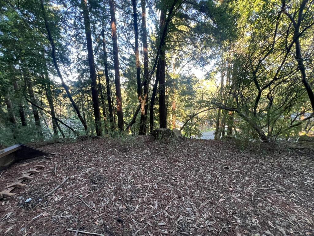 559 Patrol Road Property Photo 3