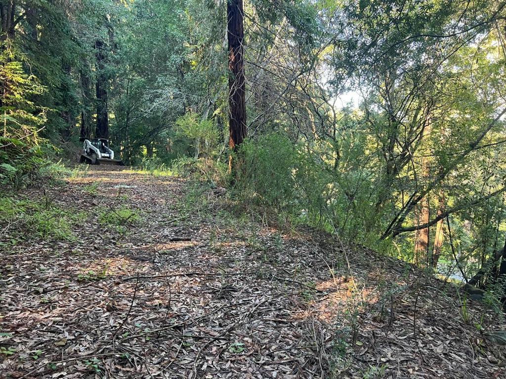 559 Patrol Road Property Photo 4