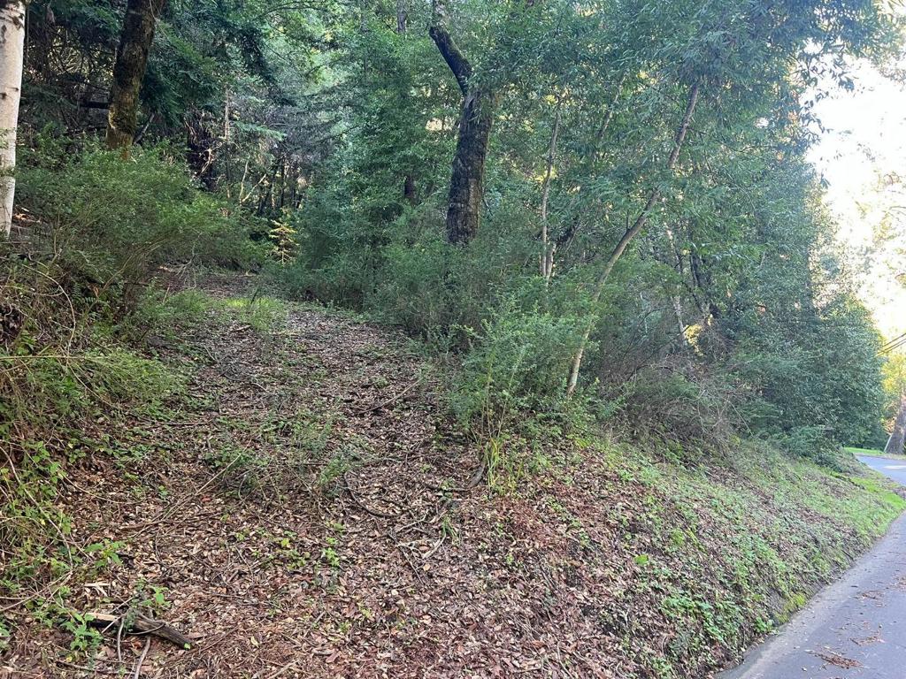 559 Patrol Road Property Photo 5