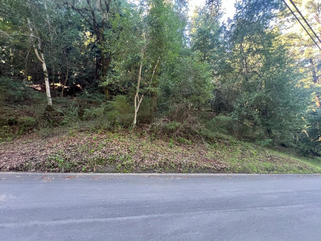 559 Patrol Road Property Photo 7