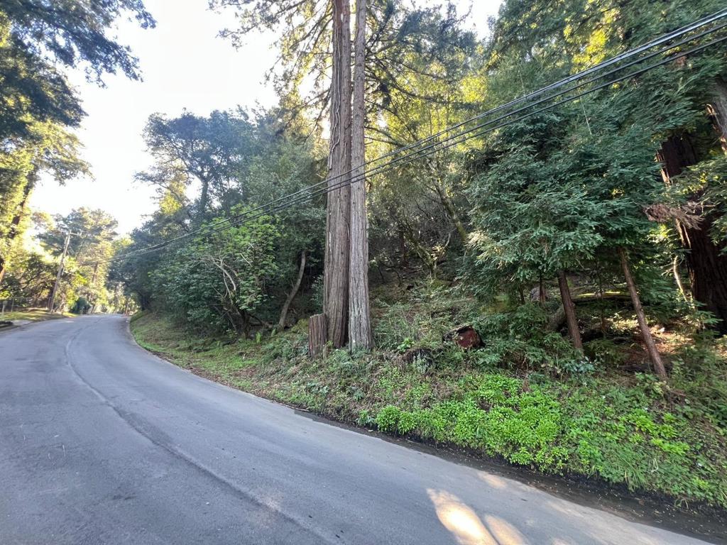 559 Patrol Road Property Photo 8