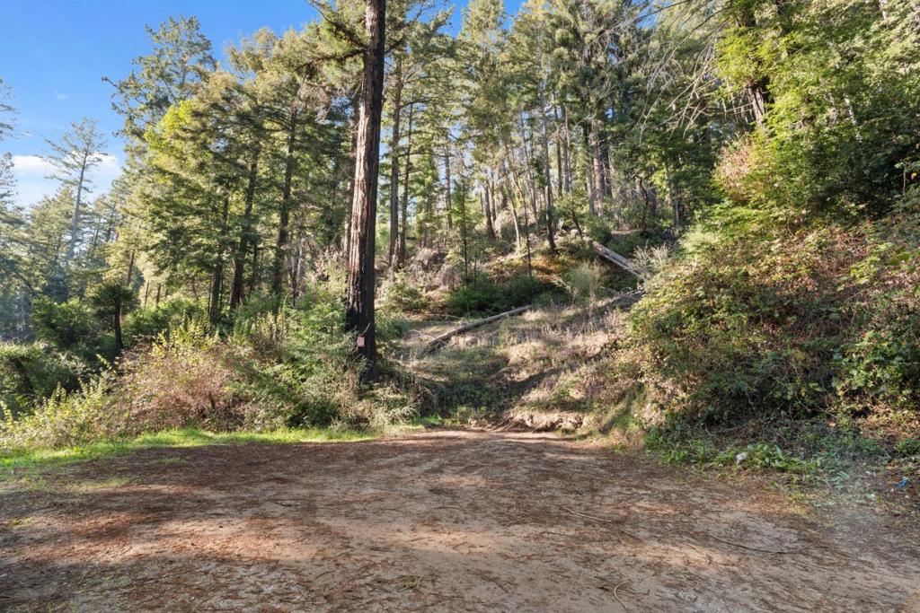 160 Starview Place Property Photo 4