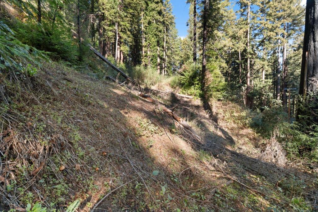 160 Starview Place Property Photo 7