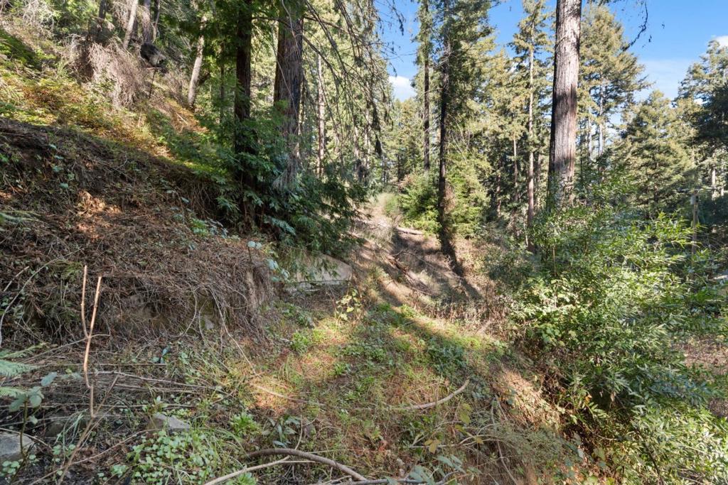 160 Starview Place Property Photo 8