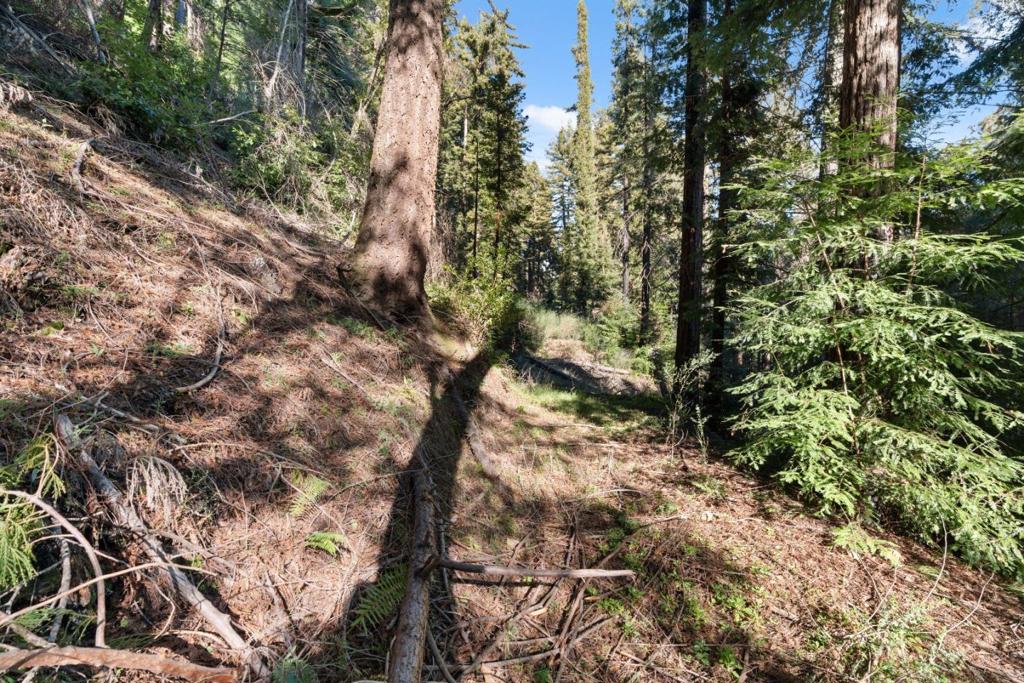 160 Starview Place Property Photo 10