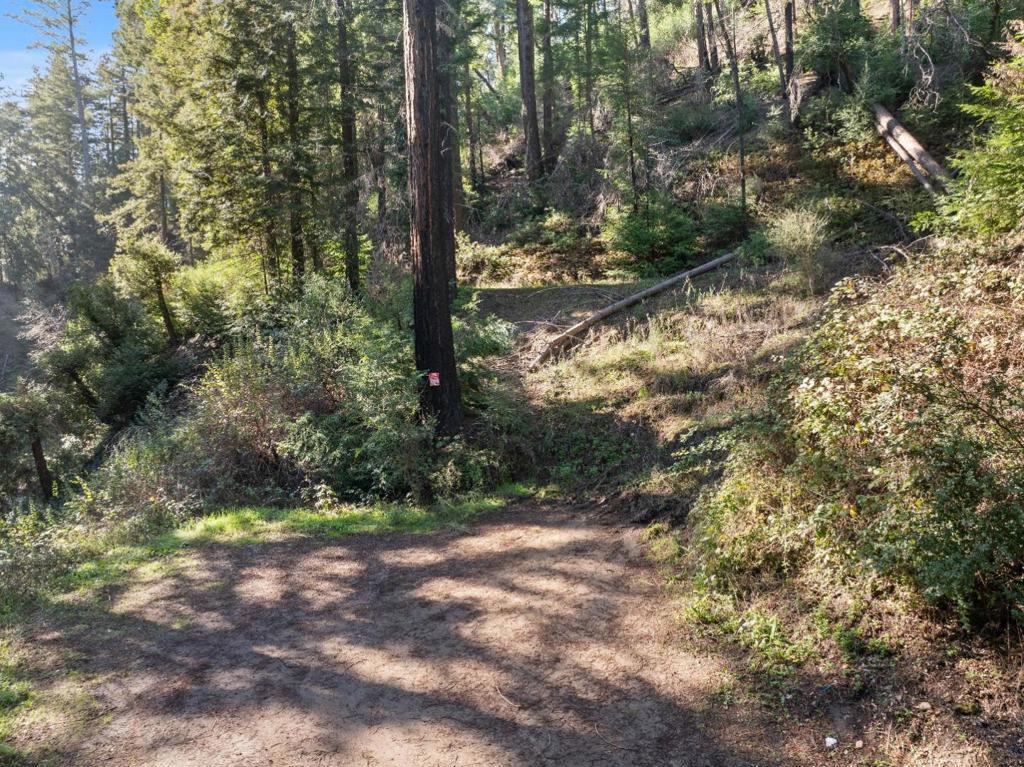 160 Starview Place Property Photo 11