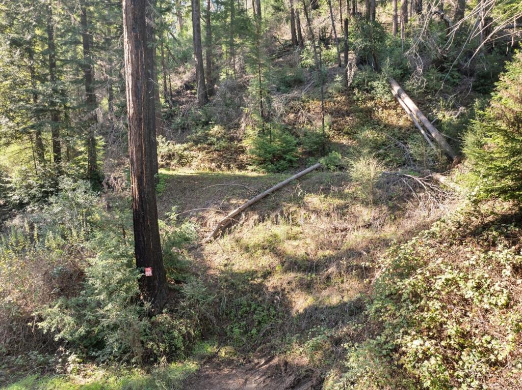 160 Starview Place Property Photo 12