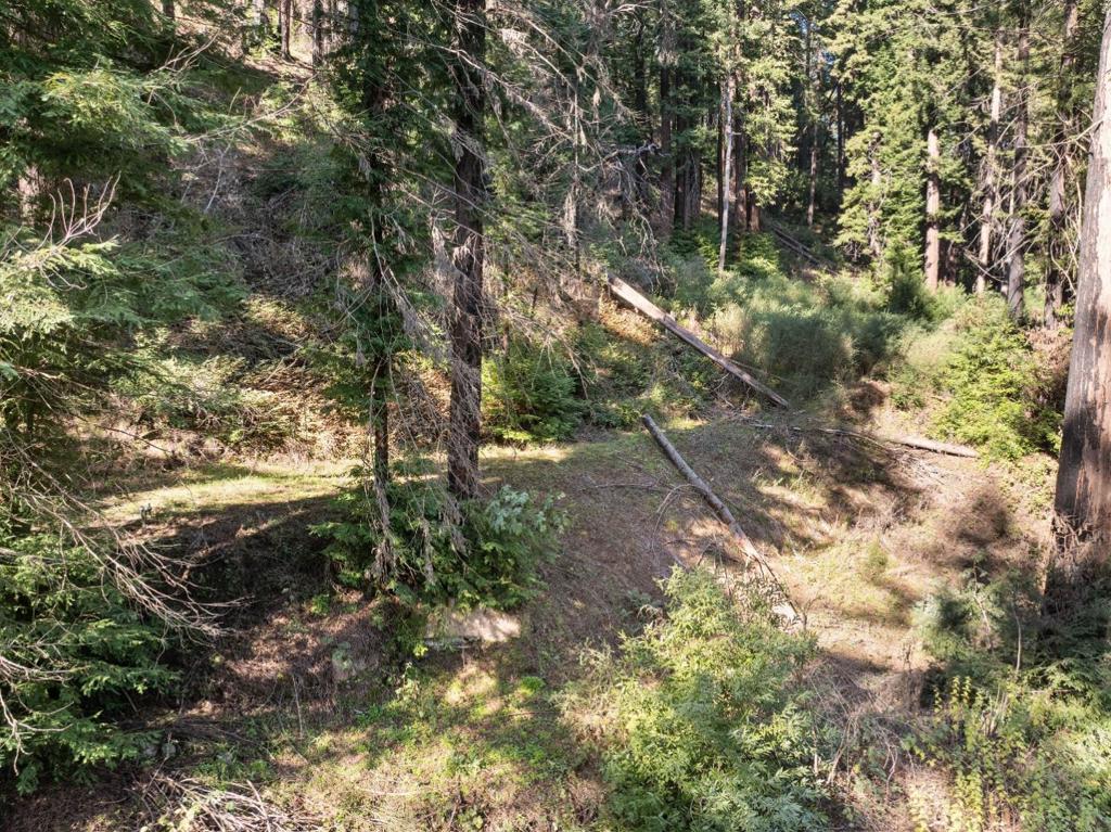 160 Starview Place Property Photo 13