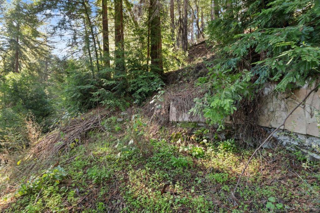 160 Starview Place Property Photo 17