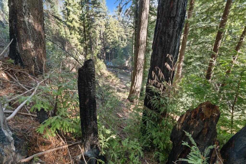 160 Starview Place Property Photo 18