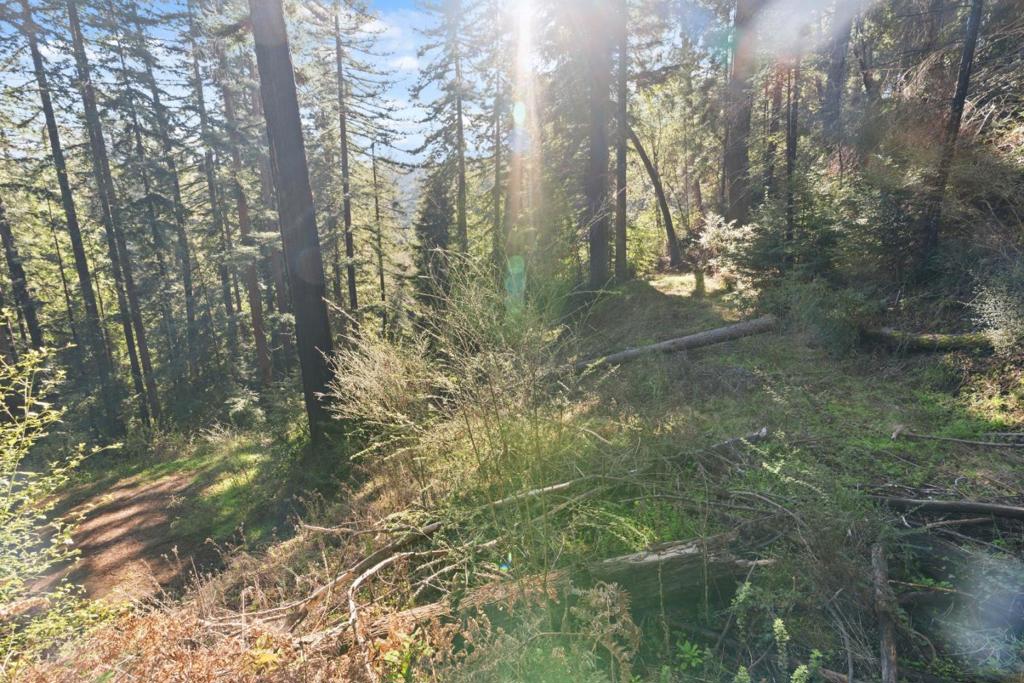160 Starview Place Property Photo 19