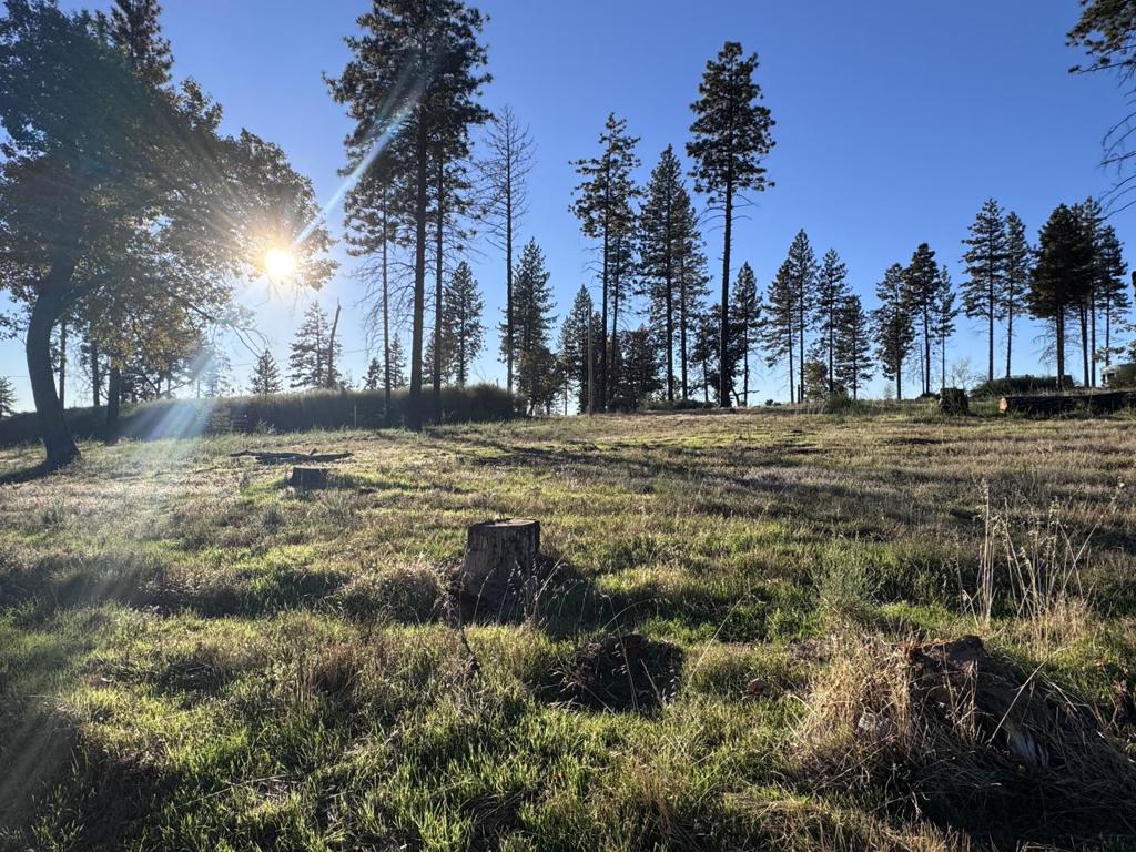 12168 Granite Ridge Road Property Photo 4