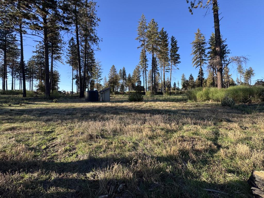 12168 Granite Ridge Road Property Photo 23