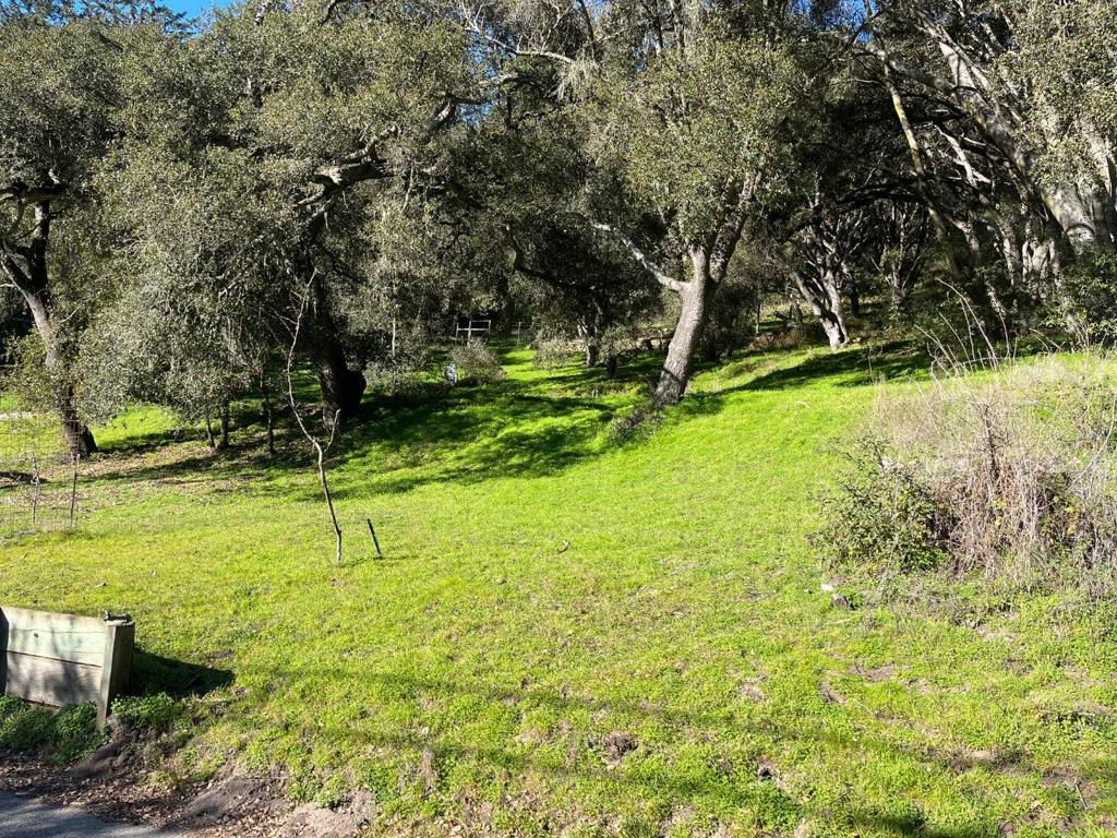 0 Baker Road Property Photo 15