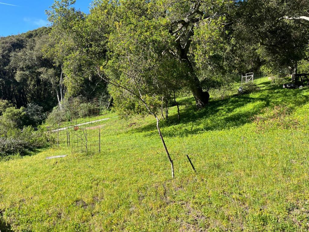 0 Baker Road Property Photo 24