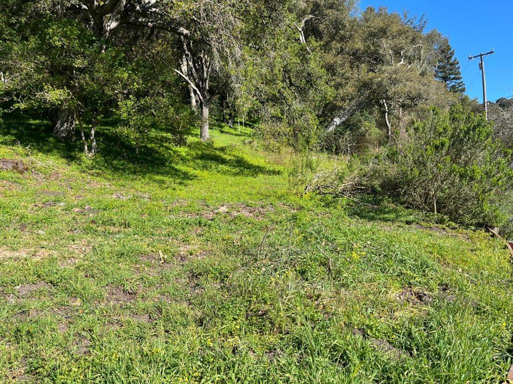 0 Baker Road Property Photo 25