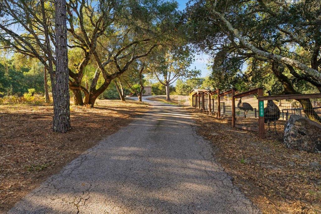 7409 Hihn Road Property Photo 84