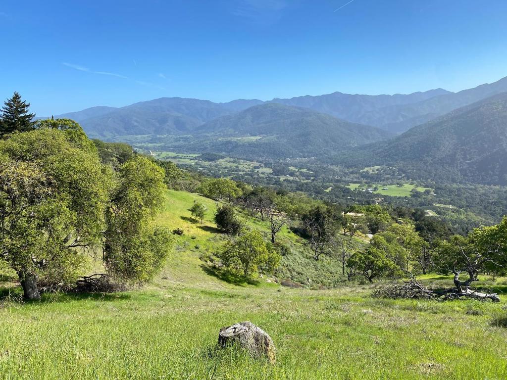35180 Sky Ranch Road Property Photo 1